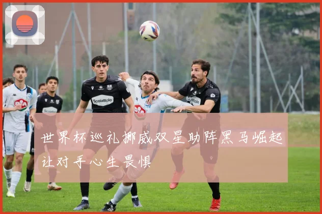 世界杯巡礼挪威双星助阵黑马崛起让对手心生畏惧